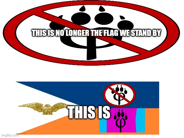 E | THIS IS NO LONGER THE FLAG WE STAND BY; THIS IS | image tagged in reeeeeeeeeeeeeeeeeeeeee | made w/ Imgflip meme maker