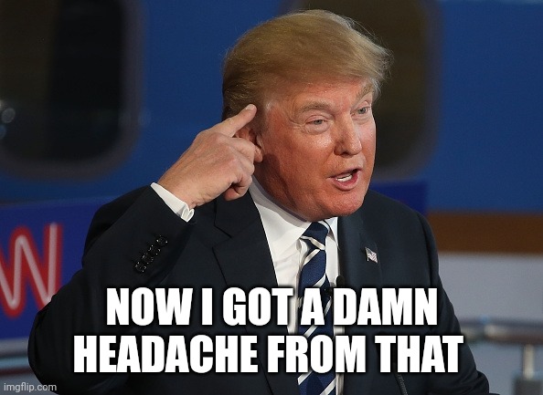 Donald Trump Pointing to His Head | NOW I GOT A DAMN HEADACHE FROM THAT | image tagged in donald trump pointing to his head | made w/ Imgflip meme maker