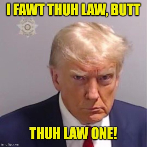 Trump mug shot | I FAWT THUH LAW, BUTT; THUH LAW ONE! | image tagged in trump mug shot | made w/ Imgflip meme maker