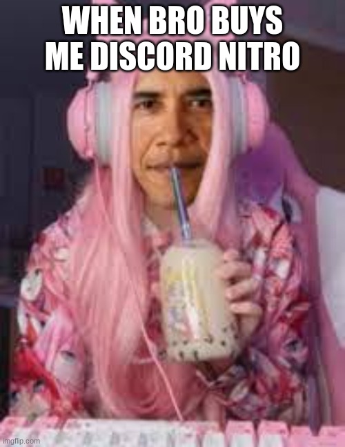 Gotta do what you gotta do | WHEN BRO BUYS ME DISCORD NITRO | image tagged in funny,discord,kitten | made w/ Imgflip meme maker