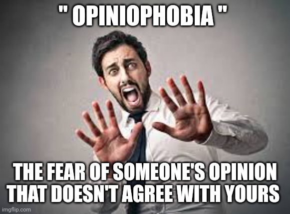phobias | " OPINIOPHOBIA "; THE FEAR OF SOMEONE'S OPINION THAT DOESN'T AGREE WITH YOURS | image tagged in phobia | made w/ Imgflip meme maker