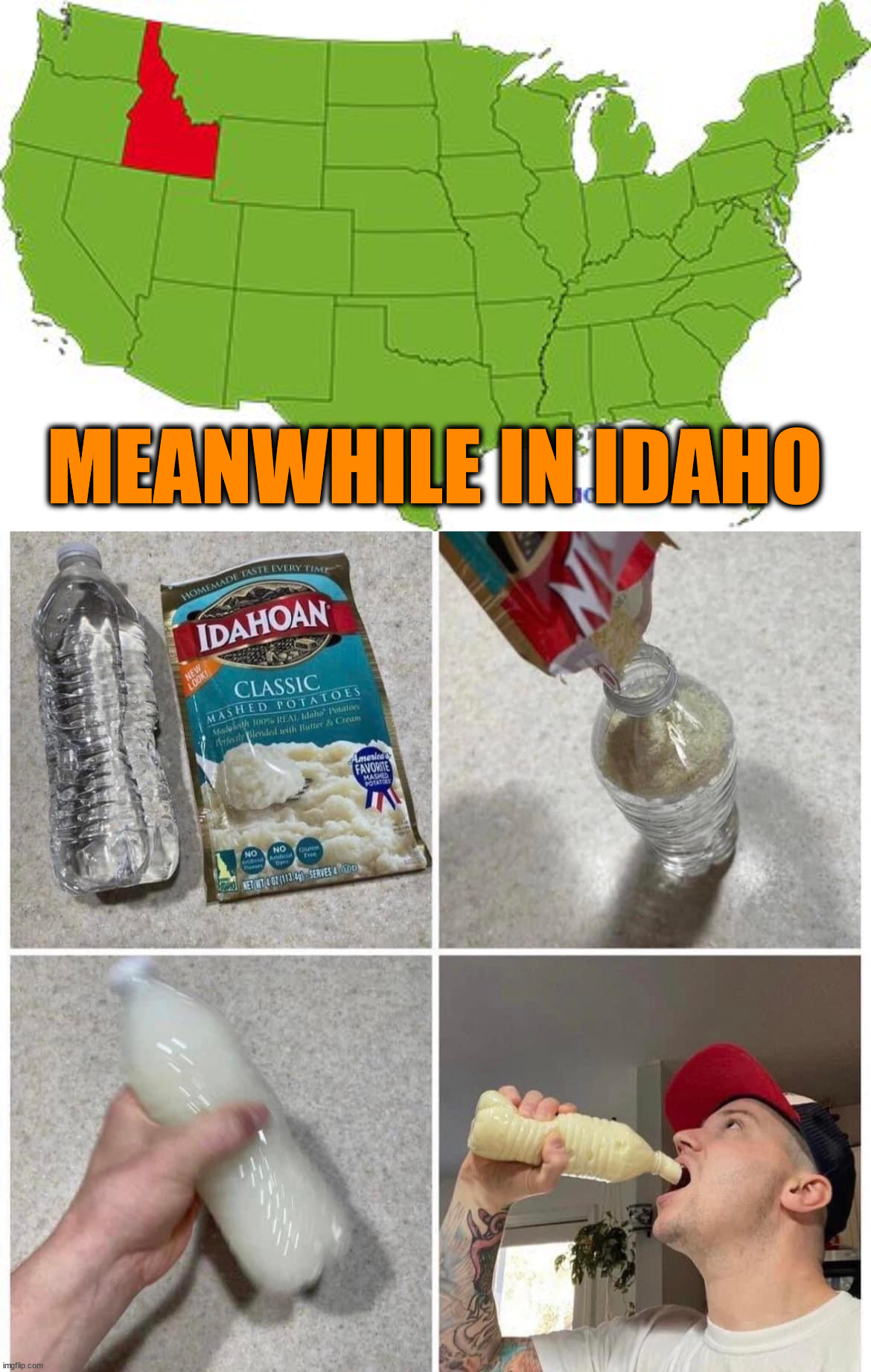 MEANWHILE IN IDAHO | image tagged in idaho | made w/ Imgflip meme maker