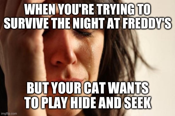 First World Problems | WHEN YOU'RE TRYING TO SURVIVE THE NIGHT AT FREDDY'S; BUT YOUR CAT WANTS TO PLAY HIDE AND SEEK | image tagged in memes,first world problems | made w/ Imgflip meme maker