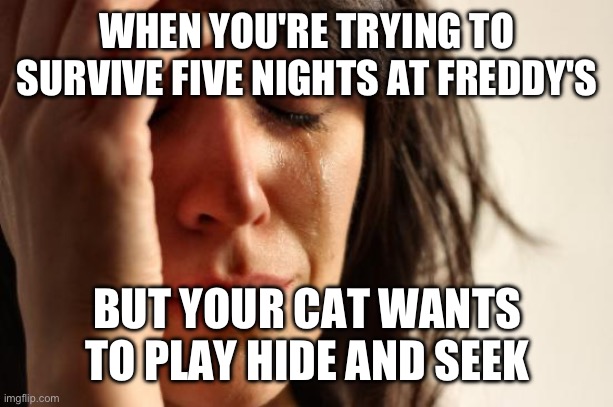 First World Problems | WHEN YOU'RE TRYING TO SURVIVE FIVE NIGHTS AT FREDDY'S; BUT YOUR CAT WANTS TO PLAY HIDE AND SEEK | image tagged in memes,first world problems | made w/ Imgflip meme maker