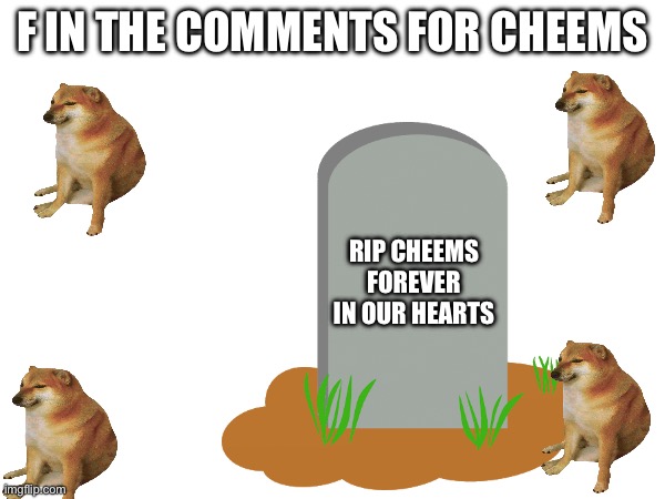 F IN THE COMMENTS FOR CHEEMS; RIP CHEEMS FOREVER IN OUR HEARTS | image tagged in rip headstone | made w/ Imgflip meme maker