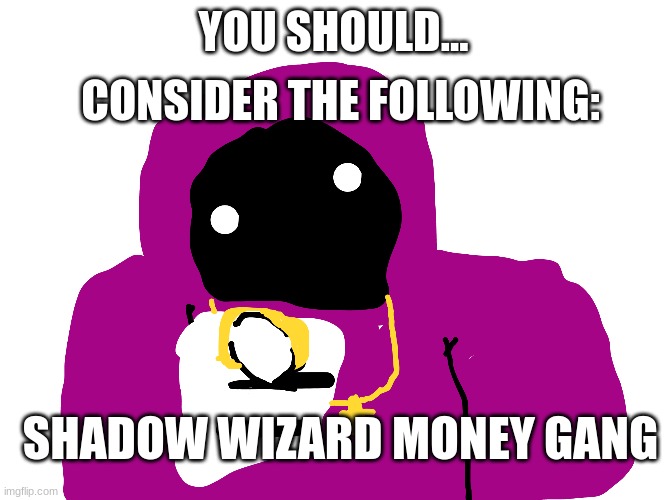 SHADOW WIZARD MONEY GANG | CONSIDER THE FOLLOWING:; YOU SHOULD... SHADOW WIZARD MONEY GANG | image tagged in shadow wizard money gang,memes,funny,funny memes | made w/ Imgflip meme maker