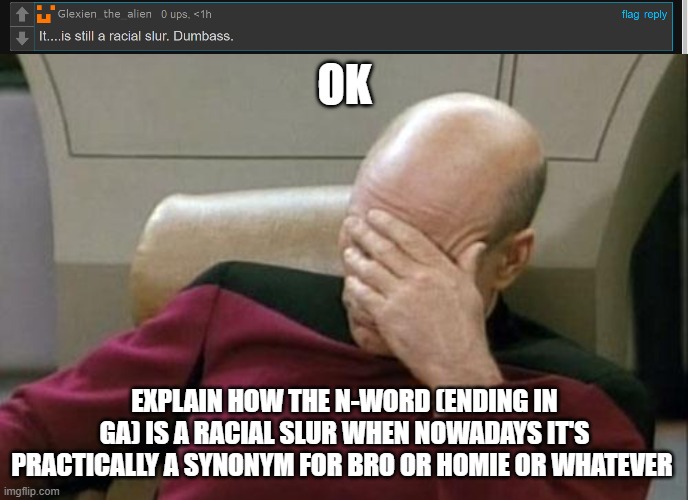 OK; EXPLAIN HOW THE N-WORD (ENDING IN GA) IS A RACIAL SLUR WHEN NOWADAYS IT'S PRACTICALLY A SYNONYM FOR BRO OR HOMIE OR WHATEVER | image tagged in memes,captain picard facepalm | made w/ Imgflip meme maker