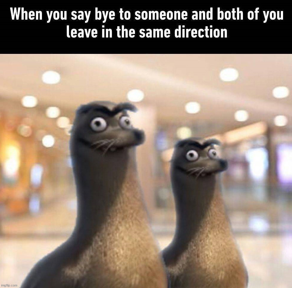 image tagged in repost | made w/ Imgflip meme maker
