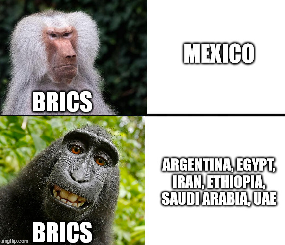 Brick | MEXICO; BRICS; ARGENTINA, EGYPT, IRAN, ETHIOPIA, SAUDI ARABIA, UAE; BRICS | image tagged in drake meme,china,argentina,mexico | made w/ Imgflip meme maker