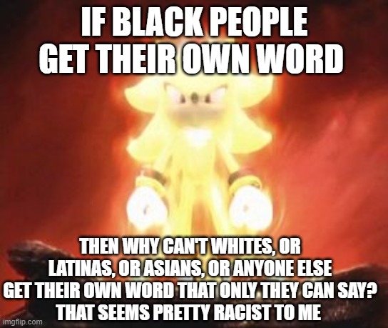 Super Shadow | IF BLACK PEOPLE GET THEIR OWN WORD; THEN WHY CAN'T WHITES, OR LATINAS, OR ASIANS, OR ANYONE ELSE GET THEIR OWN WORD THAT ONLY THEY CAN SAY?
THAT SEEMS PRETTY RACIST TO ME | image tagged in super shadow | made w/ Imgflip meme maker