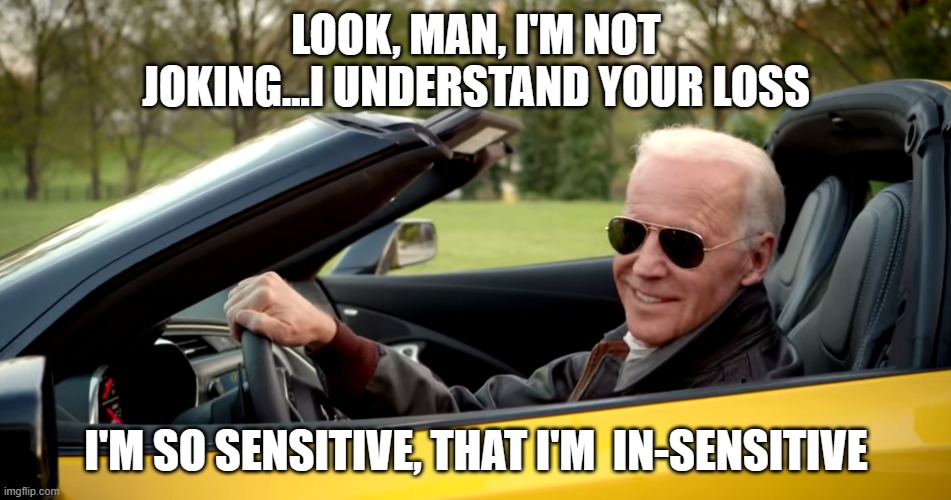no go joe | LOOK, MAN, I'M NOT JOKING...I UNDERSTAND YOUR LOSS; I'M SO SENSITIVE, THAT I'M  IN-SENSITIVE | image tagged in no go joe | made w/ Imgflip meme maker