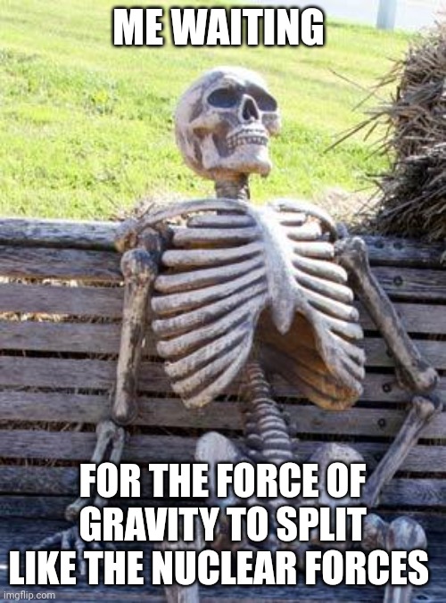 Any day now and gravity will be a distant memory!!! | ME WAITING; FOR THE FORCE OF GRAVITY TO SPLIT LIKE THE NUCLEAR FORCES | image tagged in memes,waiting skeleton,quantum physics,science,space,atoms | made w/ Imgflip meme maker