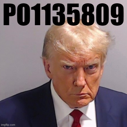 Number PO1135809... | PO1135809 | image tagged in trump,mugshot | made w/ Imgflip meme maker