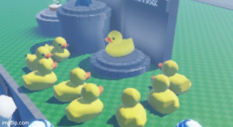 duck cult | made w/ Imgflip meme maker