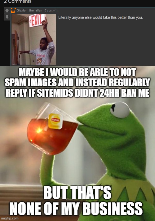 MAYBE I WOULD BE ABLE TO NOT SPAM IMAGES AND INSTEAD REGULARLY REPLY IF SITEMIDS DIDNT 24HR BAN ME; BUT THAT'S NONE OF MY BUSINESS | image tagged in memes,but that's none of my business | made w/ Imgflip meme maker