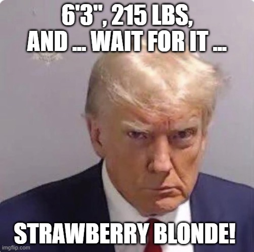 Prisoner #P01135809 | 6'3", 215 LBS, AND ... WAIT FOR IT ... STRAWBERRY BLONDE! | image tagged in prisoner p01135809 | made w/ Imgflip meme maker