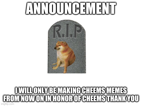 ANNOUNCEMENT; I WILL ONLY BE MAKING CHEEMS MEMES FROM NOW ON IN HONOR OF CHEEMS THANK YOU | image tagged in cheems | made w/ Imgflip meme maker