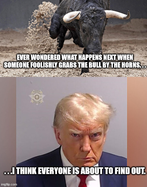 Beware of the desires you fulfill. . .here may be consequences. | EVER WONDERED WHAT HAPPENS NEXT WHEN SOMEONE FOOLISHLY GRABS THE BULL BY THE HORNS. . . . . .I THINK EVERYONE IS ABOUT TO FIND OUT. | image tagged in trump,mugshot,bull | made w/ Imgflip meme maker