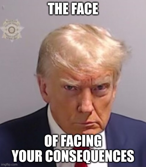 Trump P01135809 | THE FACE; OF FACING YOUR CONSEQUENCES | image tagged in donald trump mugshot | made w/ Imgflip meme maker