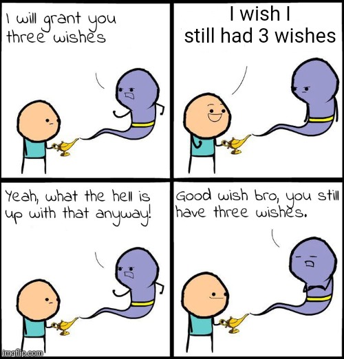 More wishes please | I wish I still had 3 wishes | image tagged in 3 wishes | made w/ Imgflip meme maker