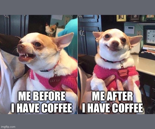 Before & After Coffee | ME AFTER I HAVE COFFEE; ME BEFORE I HAVE COFFEE | image tagged in angry dog meme | made w/ Imgflip meme maker