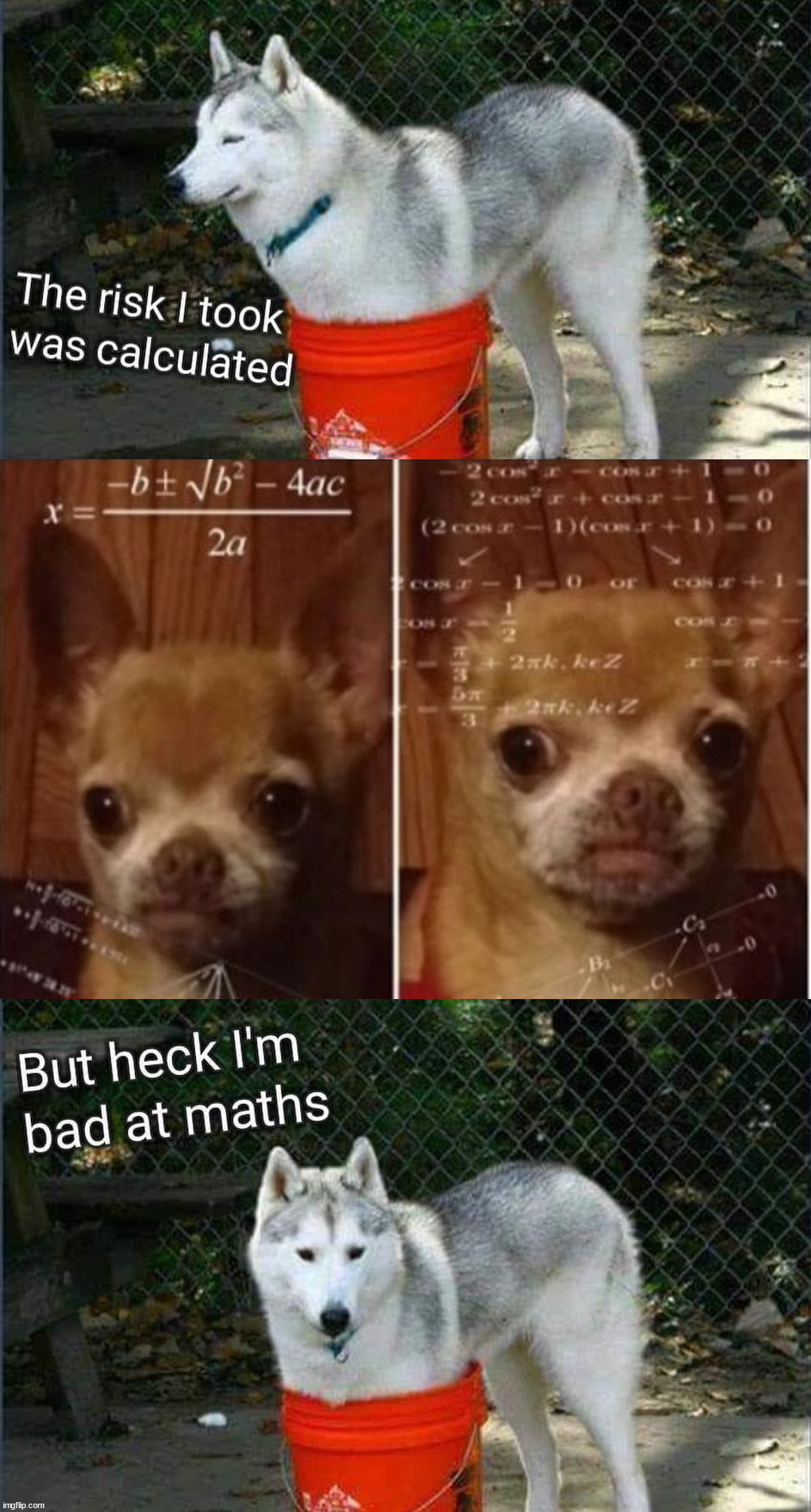 image tagged in dog math | made w/ Imgflip meme maker