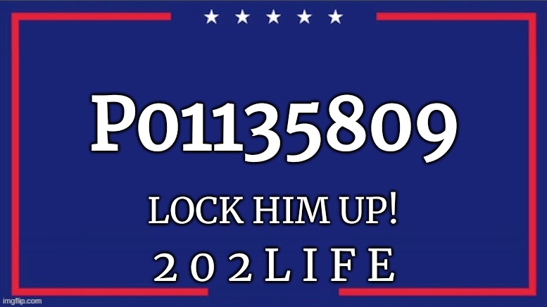 New Campaign just dropped | P01135809; LOCK HIM UP! 2 0 2 L I F E | image tagged in blank trump 2020,p01135809 | made w/ Imgflip meme maker