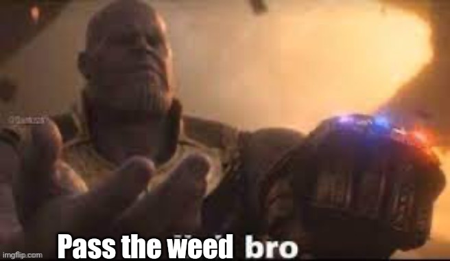 link bro | Pass the weed | image tagged in link bro | made w/ Imgflip meme maker