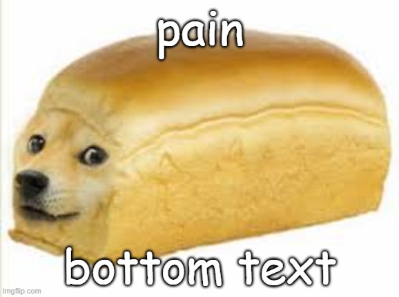 Doge bread | pain; bottom text | image tagged in doge bread | made w/ Imgflip meme maker