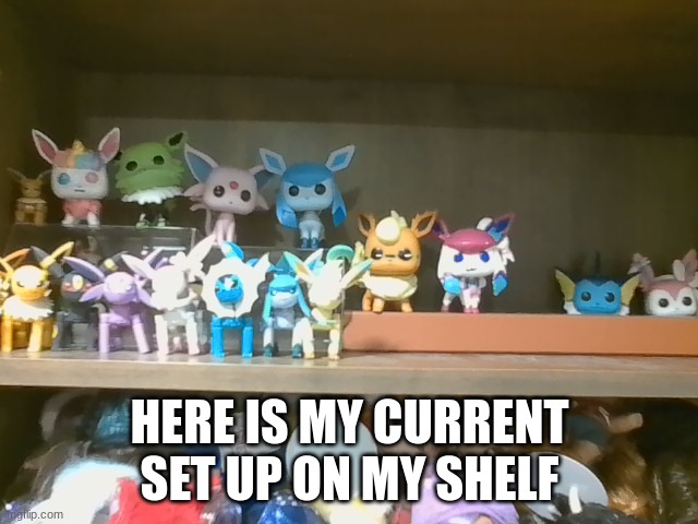 here is my current shelf setup | HERE IS MY CURRENT SET UP ON MY SHELF | image tagged in eeveelution squad | made w/ Imgflip meme maker
