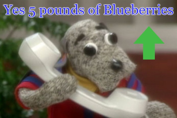 Yes 5 pounds of Blueberries | made w/ Imgflip meme maker