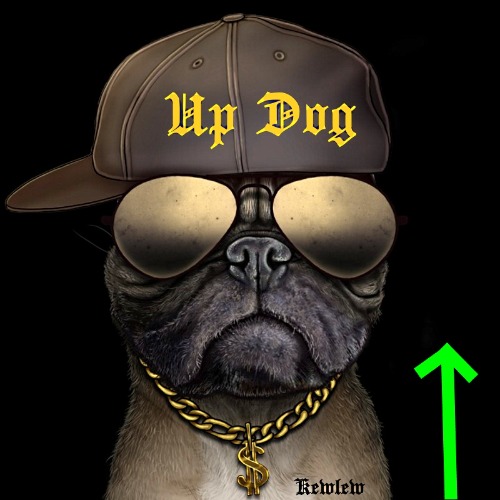up dog | image tagged in up dog | made w/ Imgflip meme maker
