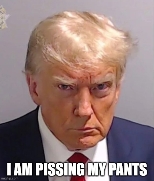 Trump During Mugshot | I AM PISSING MY PANTS | image tagged in donald trump,scared,political meme,mugshot | made w/ Imgflip meme maker