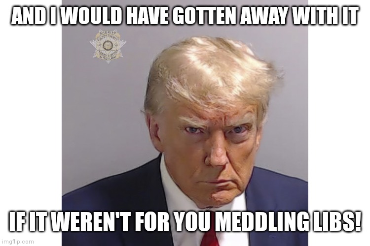 AND I WOULD HAVE GOTTEN AWAY WITH IT; IF IT WEREN'T FOR YOU MEDDLING LIBS! | made w/ Imgflip meme maker