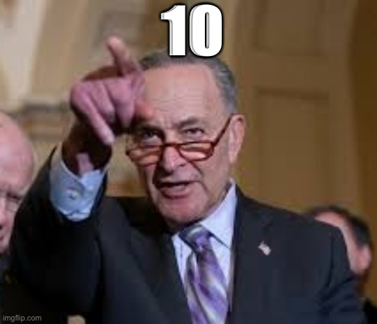 10 | image tagged in schmuck shumer | made w/ Imgflip meme maker