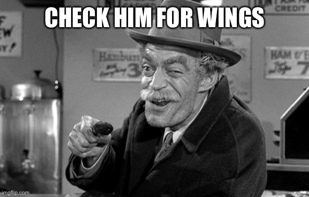 CHECK HIM FOR WINGS | image tagged in ck em for wings | made w/ Imgflip meme maker
