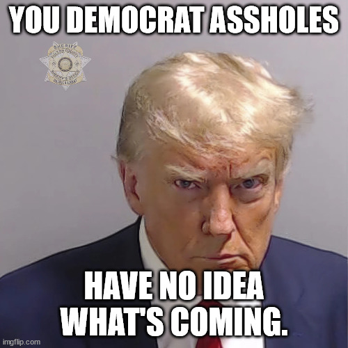 Trump | YOU DEMOCRAT ASSHOLES; HAVE NO IDEA WHAT'S COMING. | made w/ Imgflip meme maker