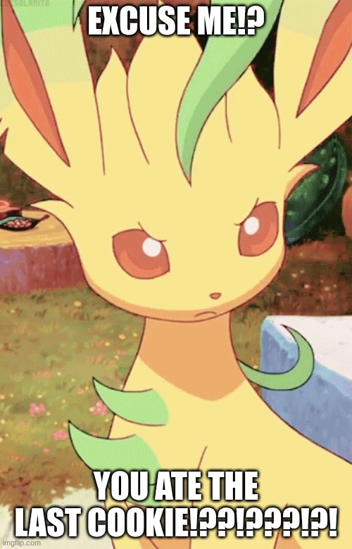 EXCUSE ME!?!????! I made a new template :D | EXCUSE ME!? YOU ATE THE LAST COOKIE!??!???!?! | image tagged in angry leafeon | made w/ Imgflip meme maker