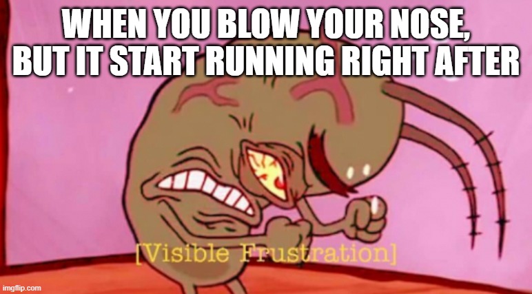 hard times | WHEN YOU BLOW YOUR NOSE, BUT IT START RUNNING RIGHT AFTER | image tagged in visible frustration hd | made w/ Imgflip meme maker