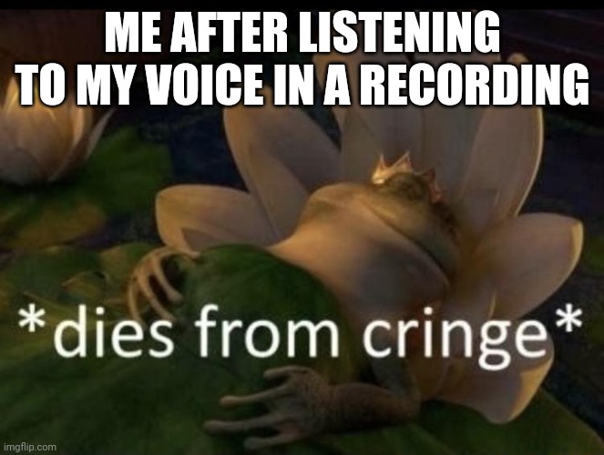 Dies from cringe | ME AFTER LISTENING TO MY VOICE IN A RECORDING | image tagged in dies from cringe | made w/ Imgflip meme maker
