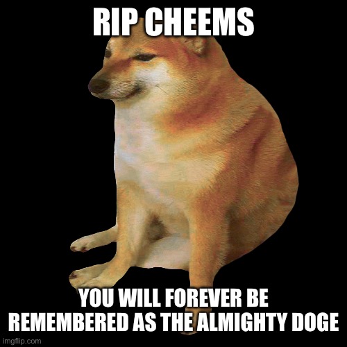 cheems | RIP CHEEMS; YOU WILL FOREVER BE REMEMBERED AS THE ALMIGHTY DOGE | image tagged in cheems | made w/ Imgflip meme maker