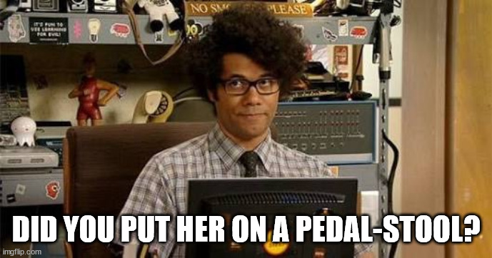It crowd | DID YOU PUT HER ON A PEDAL-STOOL? | image tagged in it crowd | made w/ Imgflip meme maker