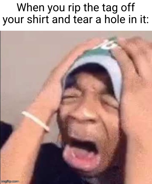 Meme #3,396 | When you rip the tag off your shirt and tear a hole in it: | image tagged in nooooooooooooooooooooooooooooooooooooooooooooooooooooooooooooooo,memes,frustrating,annoying,sad,shirt | made w/ Imgflip meme maker