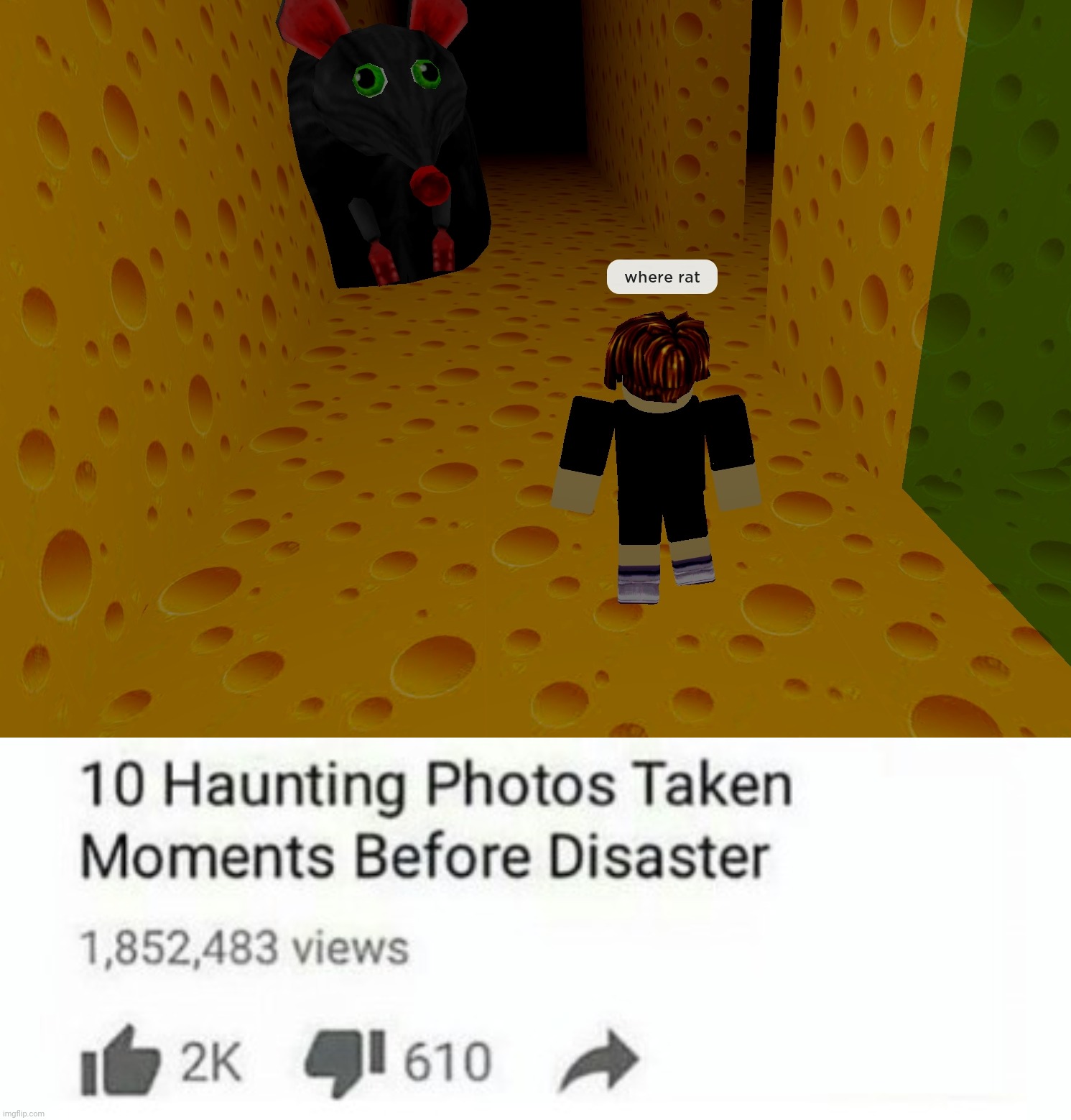 image tagged in 10 moments before disaster | made w/ Imgflip meme maker