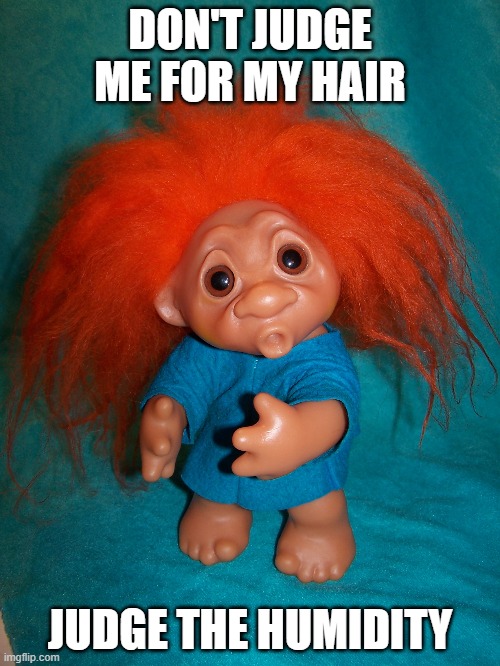 DON'T JUDGE ME FOR MY HAIR; JUDGE THE HUMIDITY | made w/ Imgflip meme maker