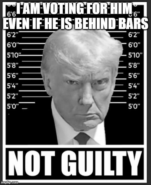D. Trump | I AM VOTING FOR HIM 
EVEN IF HE IS BEHIND BARS | image tagged in potus,potus45,donald trump,donald j trump,trump,criminal | made w/ Imgflip meme maker