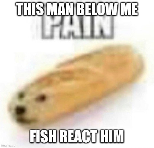 PAIN | THIS MAN BELOW ME; FISH REACT HIM | image tagged in pain | made w/ Imgflip meme maker