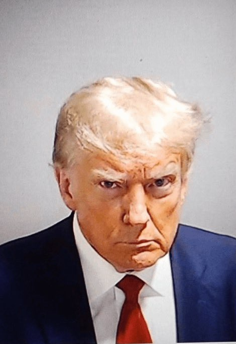 High Quality Donald Trump Mugshot Blank Meme Template