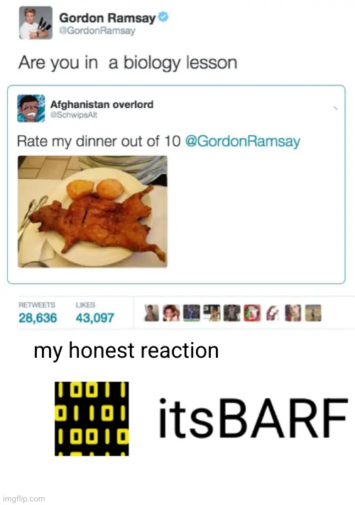 Meme #3,388 | my honest reaction | image tagged in itsbarf,memes,insults,roasted,gordon ramsay,food | made w/ Imgflip meme maker