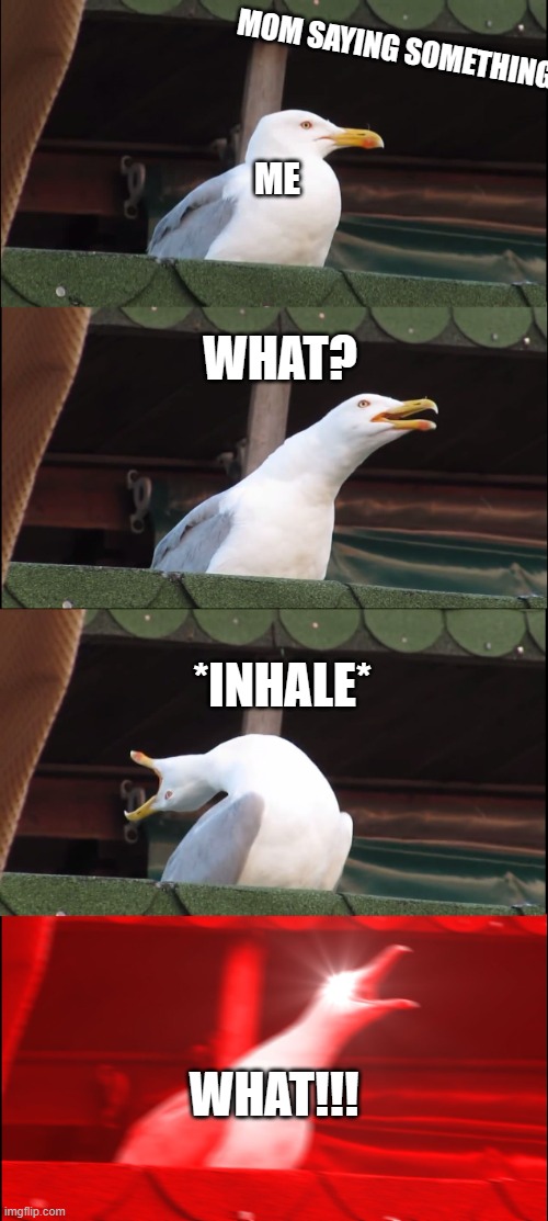 :l | MOM SAYING SOMETHING; ME; WHAT? *INHALE*; WHAT!!! | image tagged in memes,inhaling seagull | made w/ Imgflip meme maker
